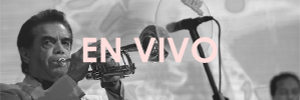 BOTON-EN-VIVO